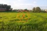 Land for sale in Siem Reap, Siem Reap