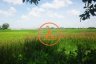 Land for sale in Kandal, Kampot
