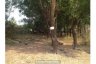 Land for sale in Mittakpheap, Phnom Penh