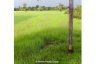Land for sale in Prey Nob, Preah Sihanouk