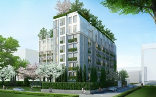 Haven Luxe Haven Luxe