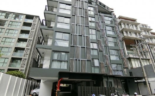 Filbert 49 Filbert 49