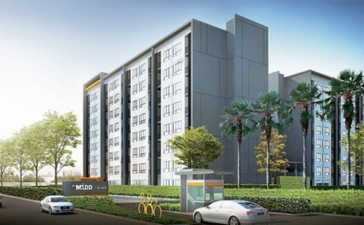 The Midd 1 The Midd 1