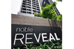 Noble Reveal
