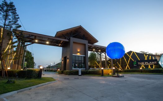 The Plant Pinklao-Kanchanapisek The Plant Pinklao-Kanchanapisek