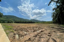 Land for Sale or Rent in Nong Thale, Krabi