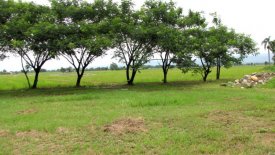 Land For Sale In Rim Nuea Chiang Mai - 