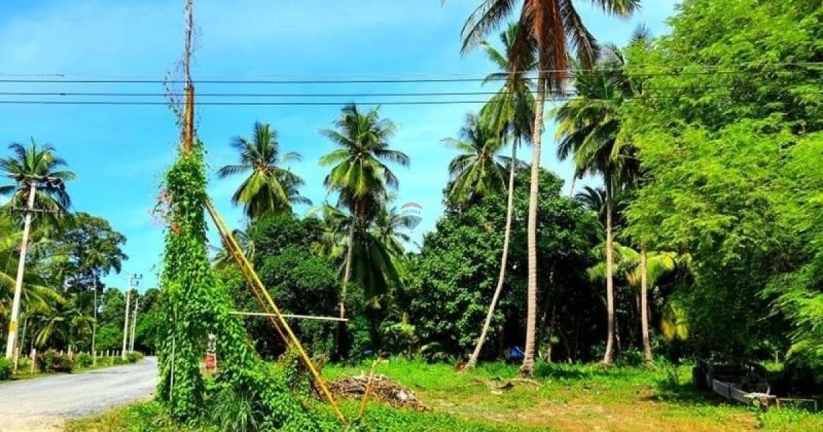 Best Way To Travel From Surat Thani To Koh Samui